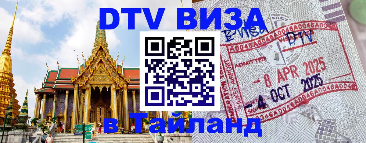 Сколько стоит DTV виза — актуальные цены, оформление даже без документов - Саранск  06.12.2025 